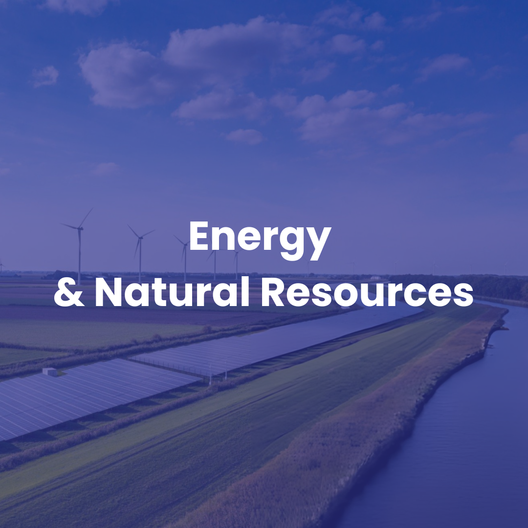 Energy and natural resources executive recruitment